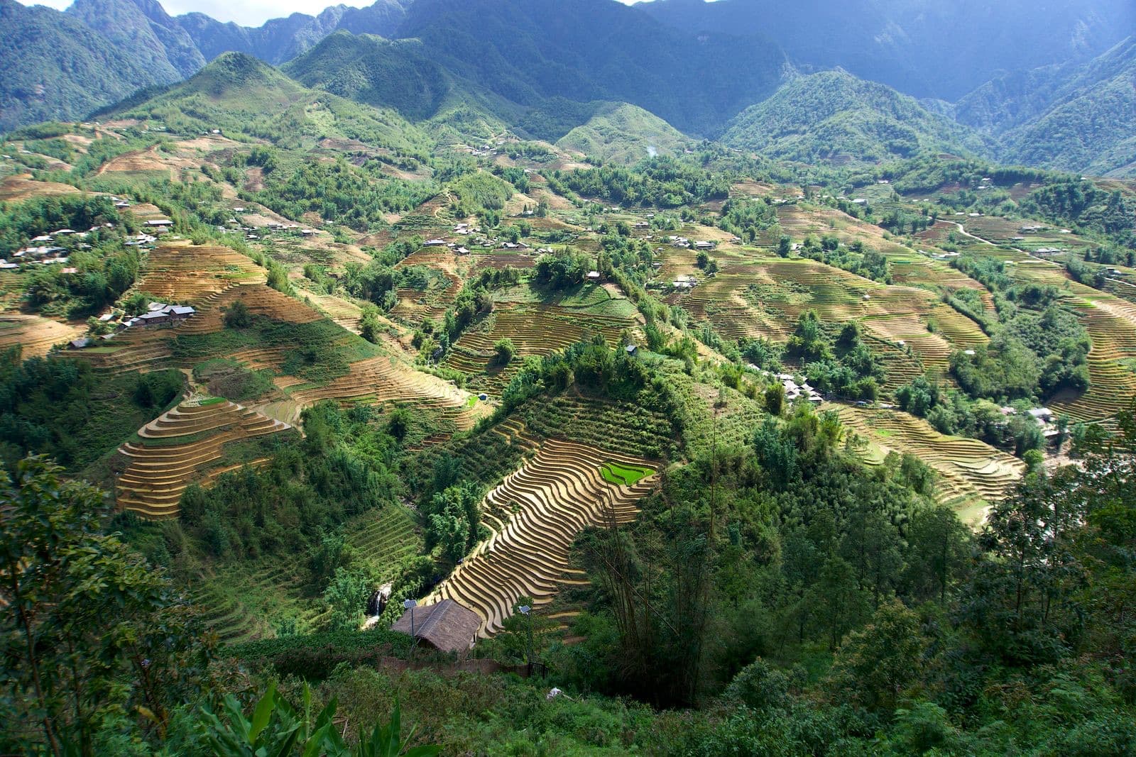 Sa Pa – Fansipan 3N2Đ